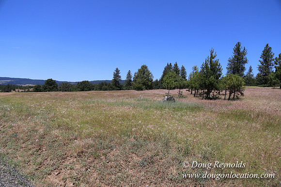Brothers Ranch-8462