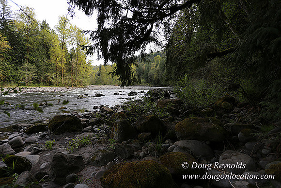Brians River Side-0037