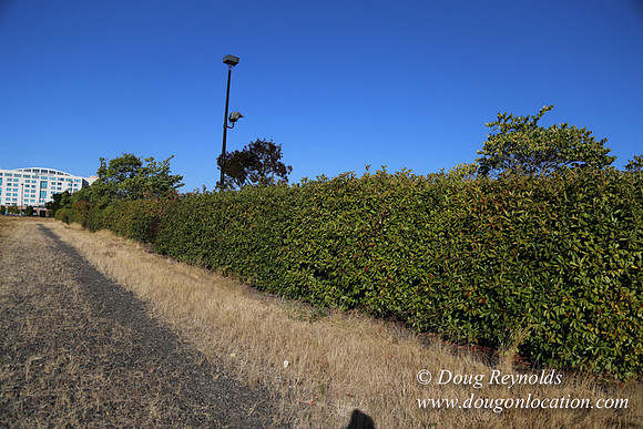 East End S Runway-5027