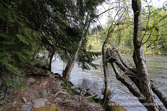 Brians River Side-0024