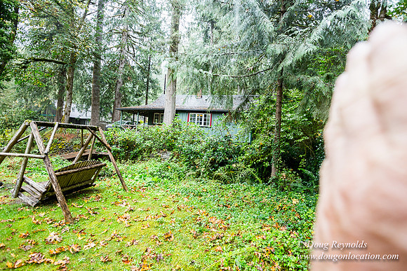 Collins Cabin