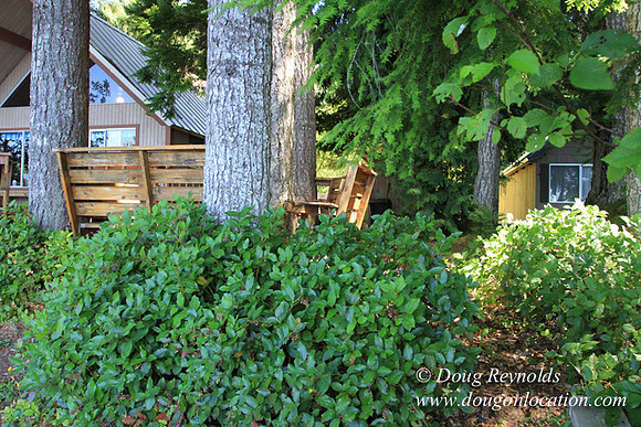 Richter Lake House-8390