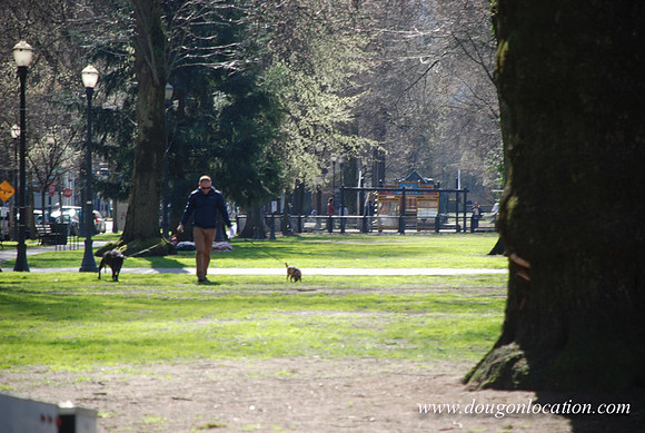 North Park Blocks-0058