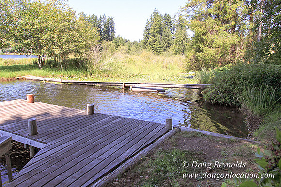 Richter Lake House-8359