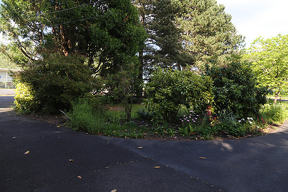 Dale's Penny Ln-4955