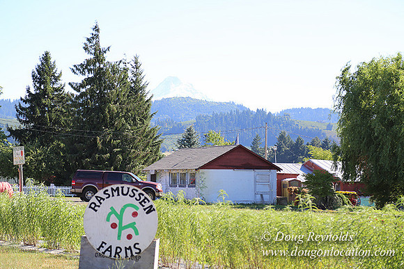 Thompson Rd Farm-8257