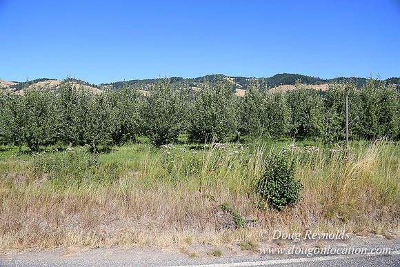 Thompson Rd Farm-8258