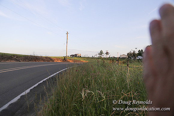Mountaindale Rd-6440