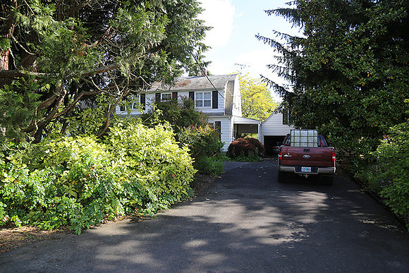 Dale's Penny Ln-5006