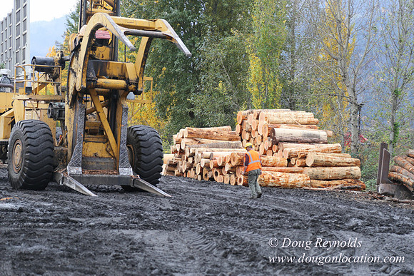 SDS Lumber-1373