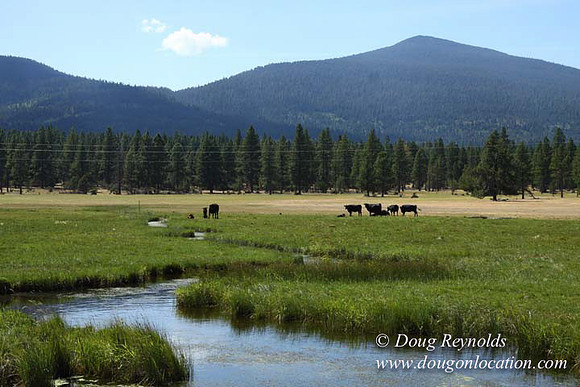 Ranch 18 South side of Hwy  has 2500 Acres of green fields Creeks water crossing Bridges on a Large Lake and miles of Dirt roads Oak trees  Forest land ATV Trails cows