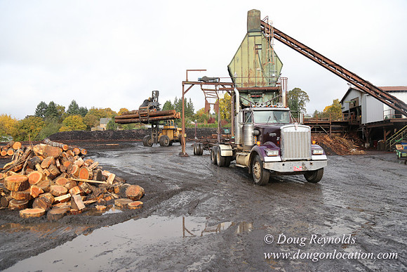 Saw Mill and Lumber Yard