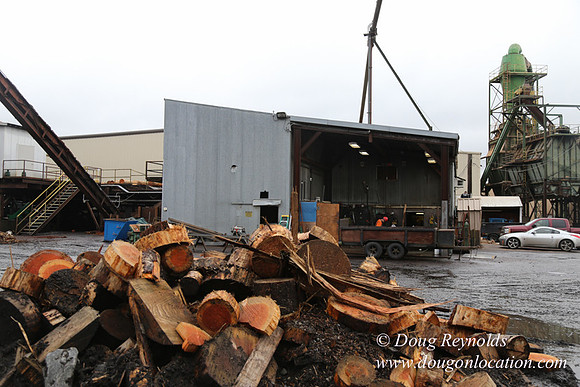 Saw Mill and Lumber Yard