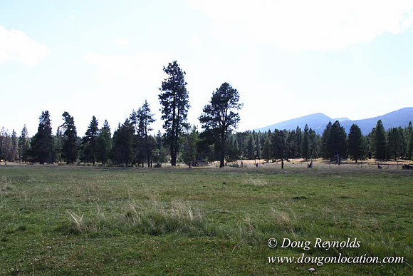 Ranch 18 South side of Hwy  has 2500 Acres of green fields Creeks water crossing Bridges on a Large Lake and miles of Dirt roads Oak trees  Forest land ATV Trails cows