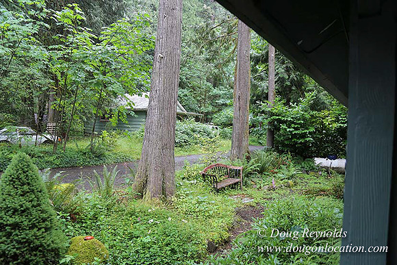 Small, Cabin, Home, River, OR, Oregon, Green, Yard,