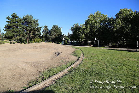 Lincoln Park-0587