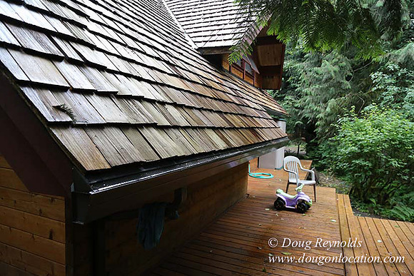 Gary's Cabin-7553