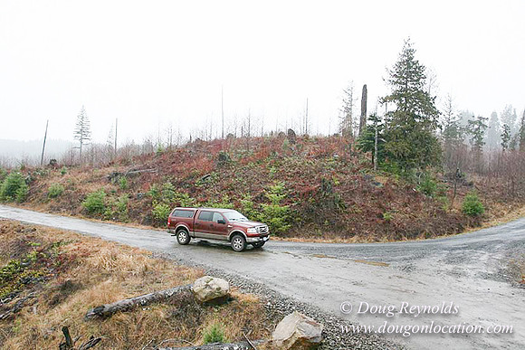 WC Clear Cut 2010-7843