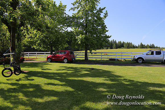 "2 Barns", "2 car garage", "40+ Acres", "PDX Zone", Pool, "White Fence", cows, "farm House", "rap around dive", "well maintained"