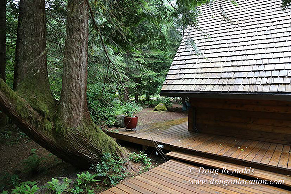 Gary's Cabin-7557