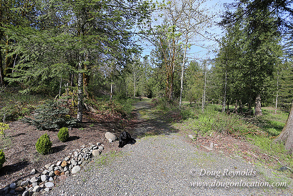 Brians River Side-9882