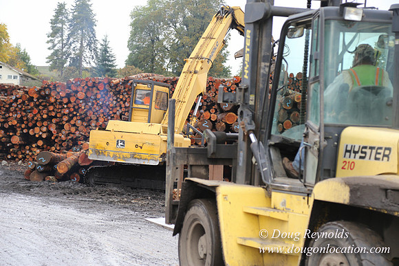 Saw Mill and Lumber Yard
