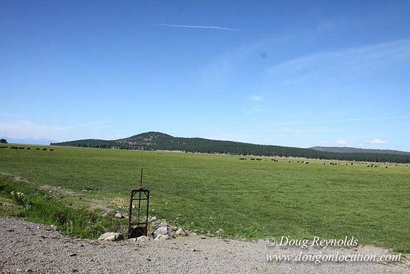 Ranch 18 South side of Hwy  has 2500 Acres of green fields Creeks water crossing Bridges on a Large Lake and miles of Dirt roads Oak trees  Forest land ATV Trails cows