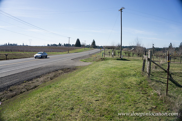 Hwy 211 Sandy-3535