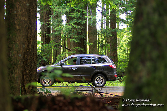 Larch Mt Rd