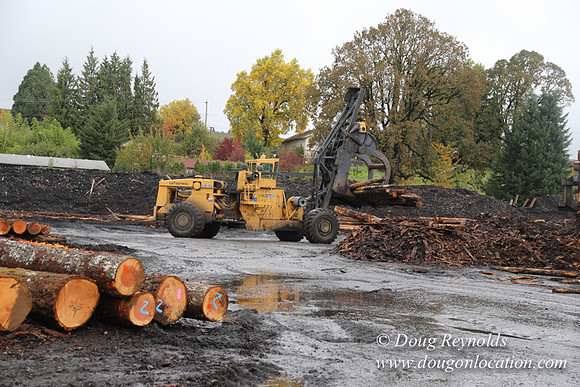 Saw Mill and Lumber Yard