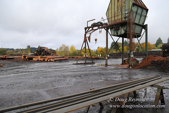 Saw Mill and Lumber Yard