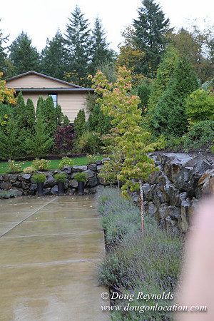 Kathy's House-0429