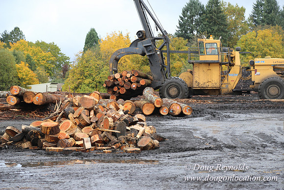 Saw Mill and Lumber Yard