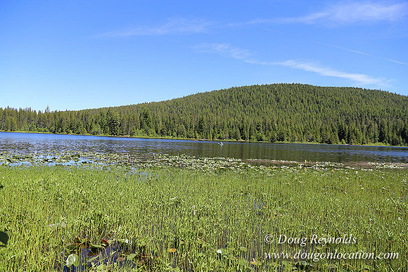 Trillium Lake-32003636