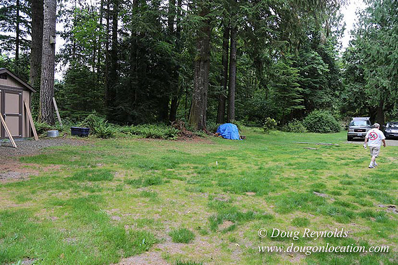 Cabin;  Home;  House; OR, Oregon Yard; deck; green. River,