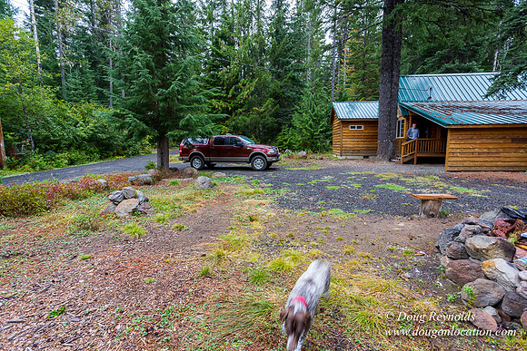 Waynes Cabin