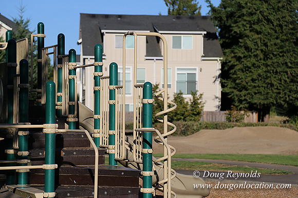 Lincoln Park-0595