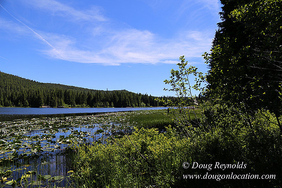 Trillium Lake-32003663