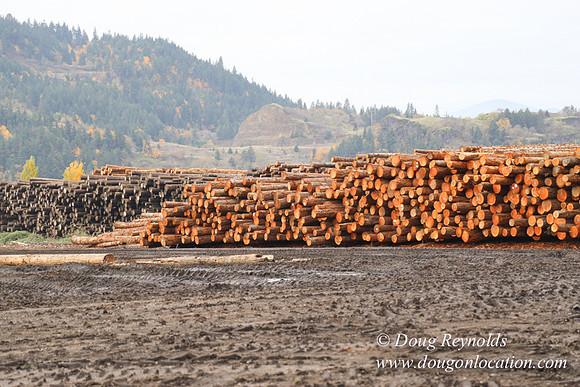 SDS Lumber-1310