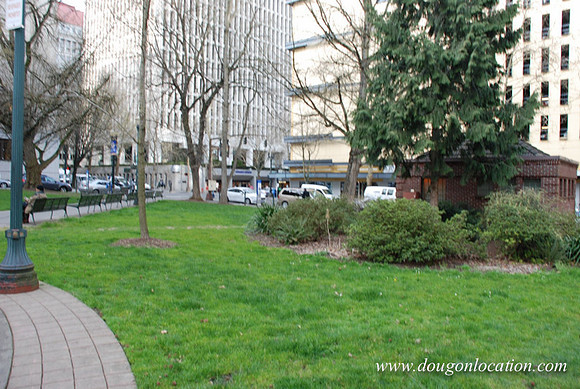 Lownsdale Square-0445