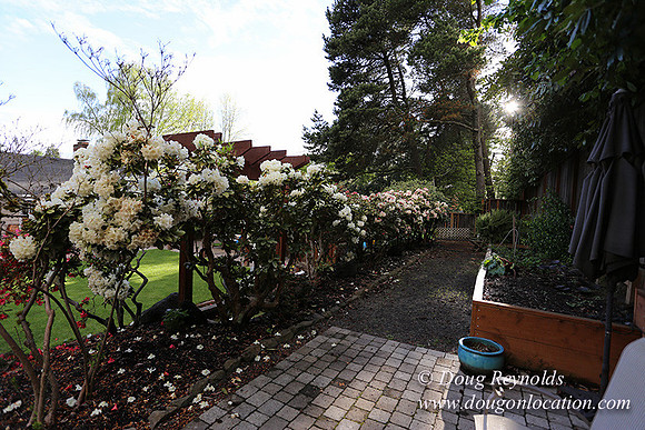 Mid Century Traditional Style Home, With a Basement, 2 car garage average sized Back Yard with Patio and Fire Pit.