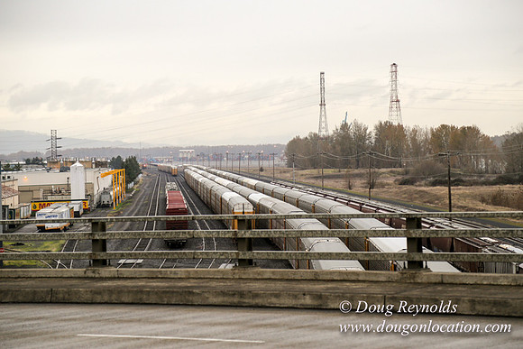 Marine Dr Overpass-5264
