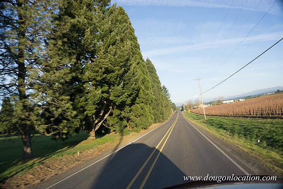 Kelso Rd W Driving E-3995