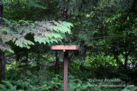 Gary's Cabin-7539