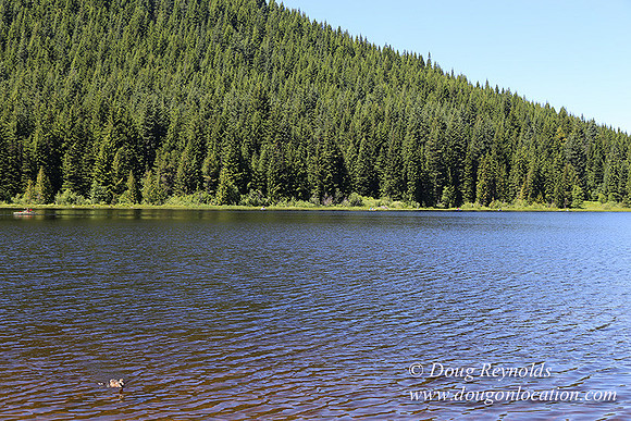 Trillium Lake-32003565