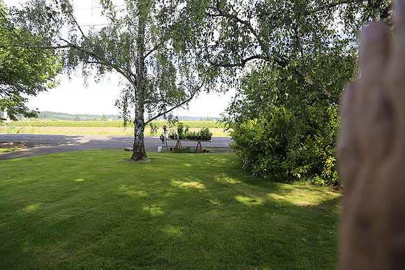 Dale's Penny Ln-4941