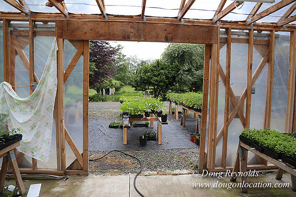 Shere's Garden Flowers & produce