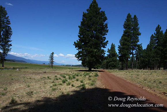 Ranch 18 South side of Hwy  has 2500 Acres of green fields Creeks water crossing Bridges on a Large Lake and miles of Dirt roads Oak trees  Forest land ATV Trails cows