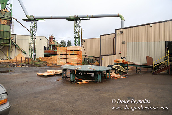 Saw Mill and Lumber Yard