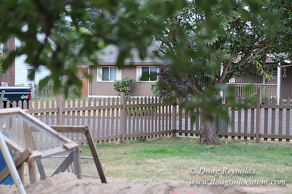 Nathan's Backyard-1735